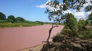 The largest river in East Africa flows through our farm providing plenty of water for irrigation.